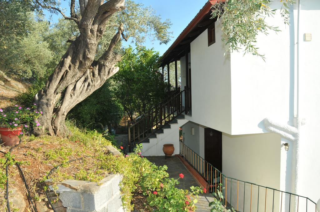 Violetta Studios & Apartments มิลินา ภายนอก รูปภาพ